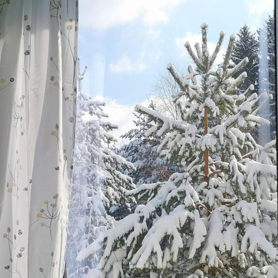 Hiona Apartment Kopaonik Eksteriør billede